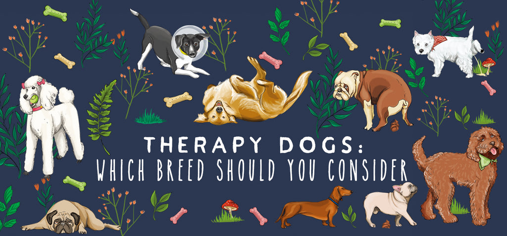 Therapy Dogs: Which Breeds You Should Consider?