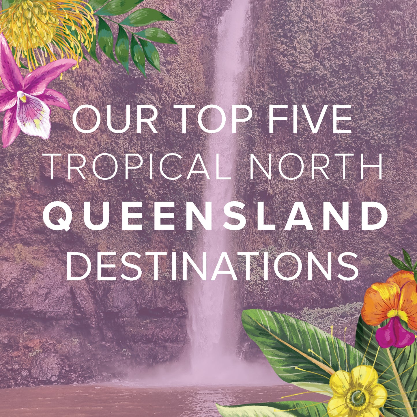 Our Top 5 Tropical North Queensland Destinations