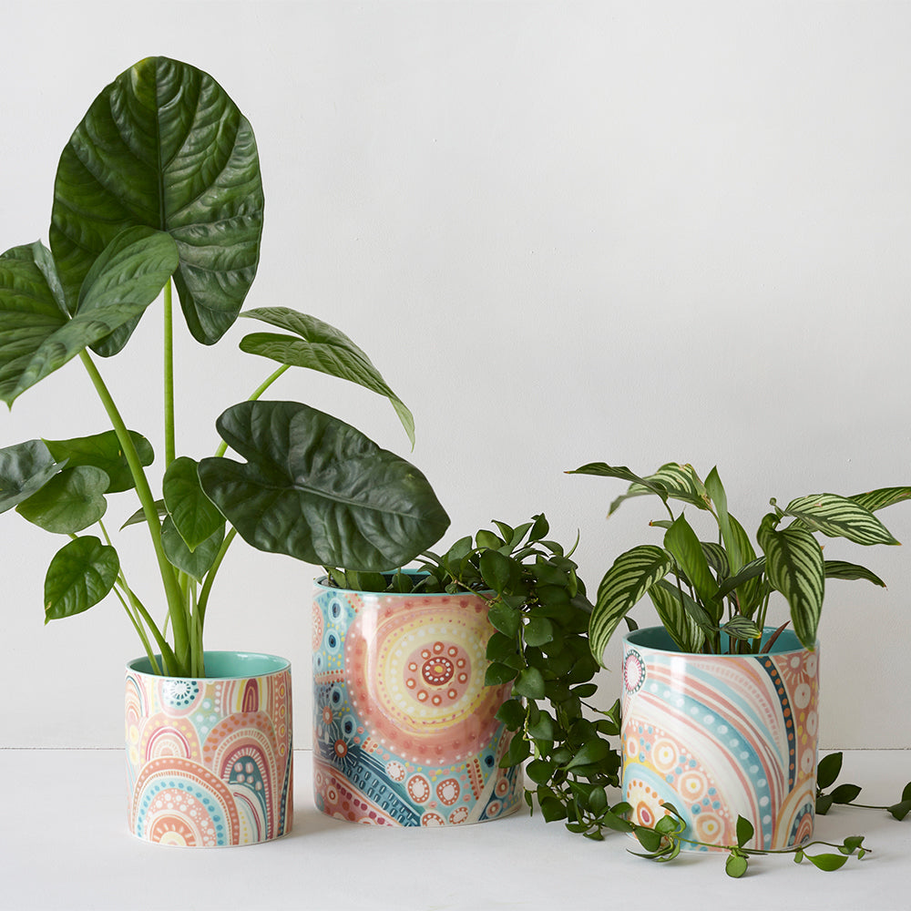 Unique Pot Sets
