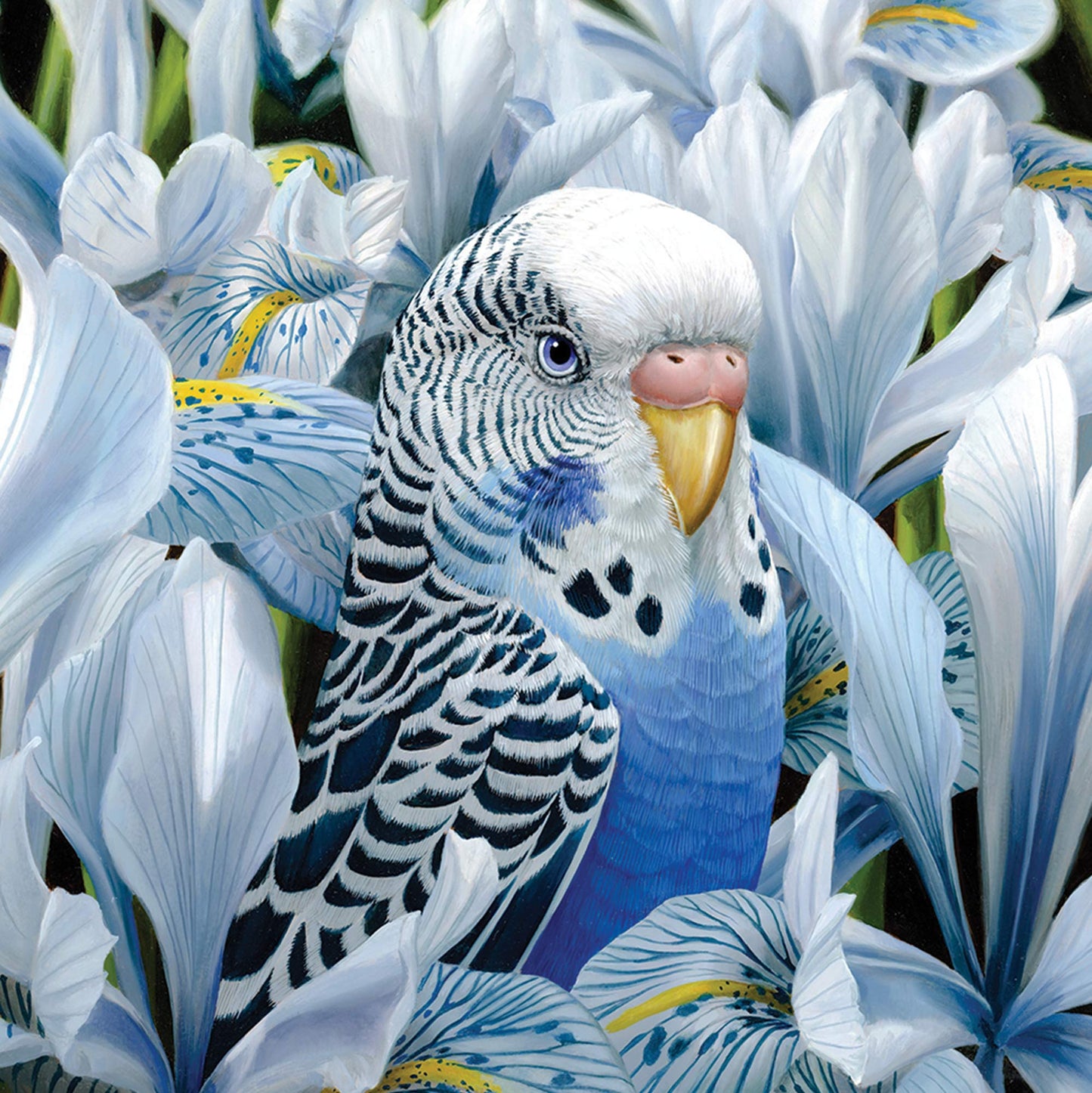 Mini Card Sheila Ann