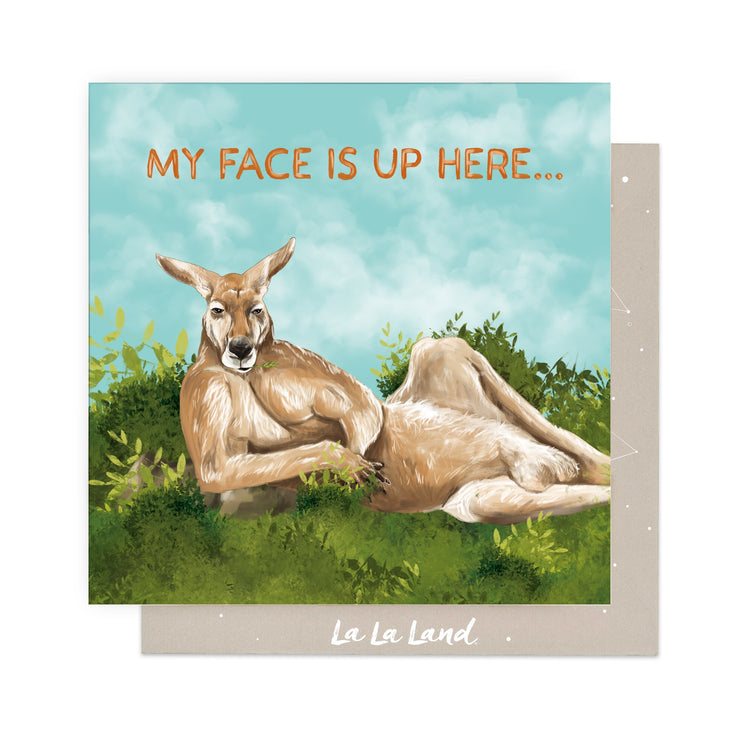 layout