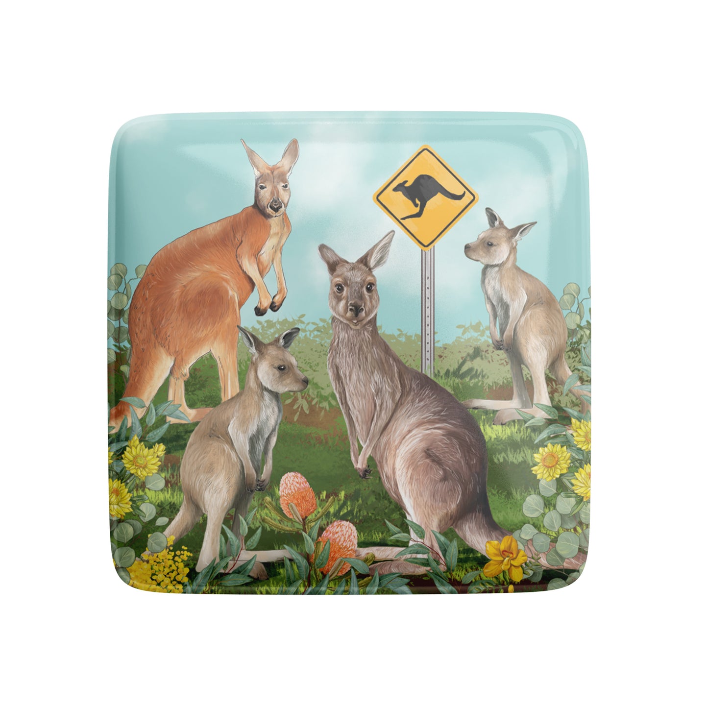 Fridge Magnet Kangaroos In The Wild