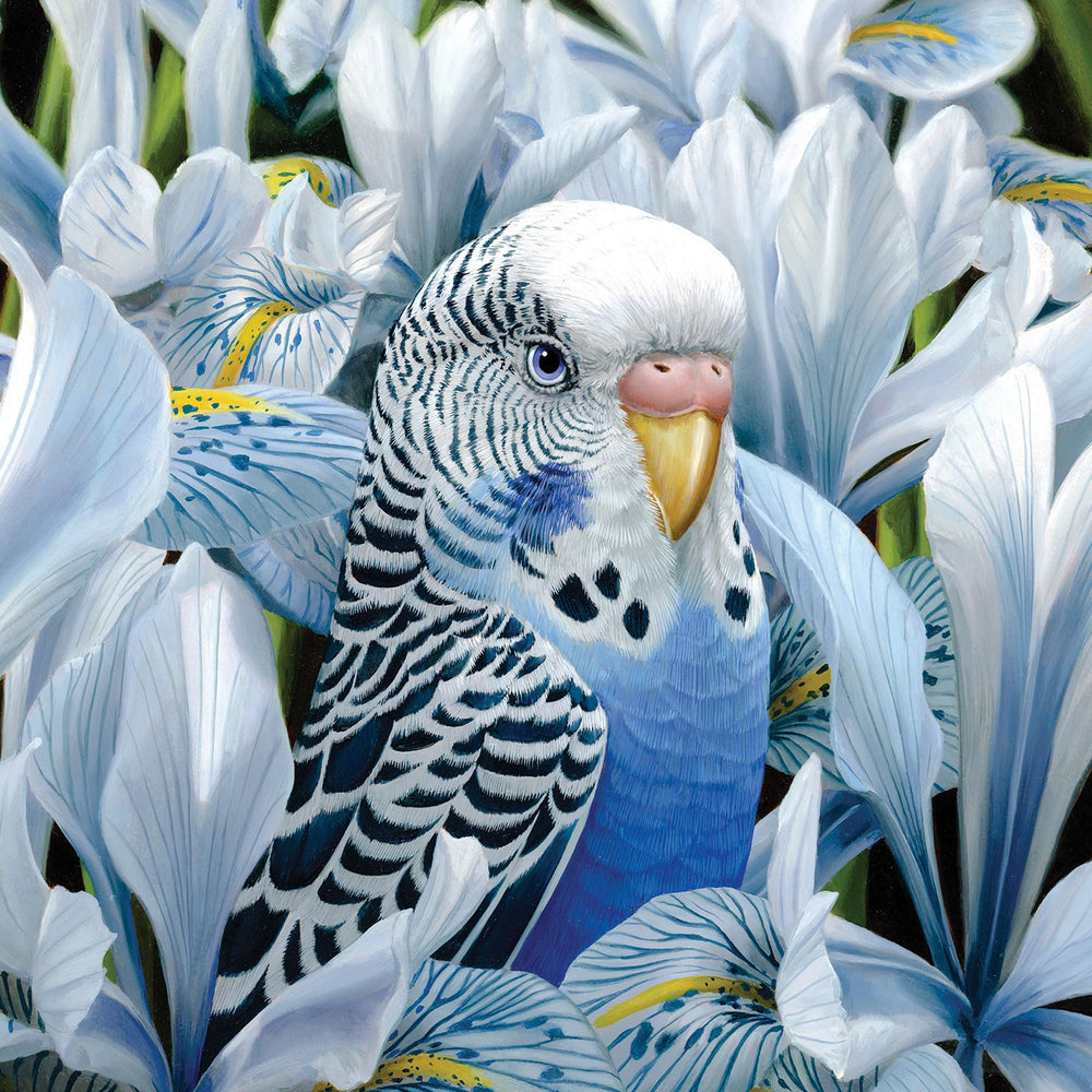 
                      
                        Greeting Card Sheila Ann
                      
                    