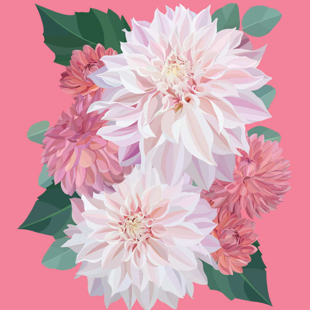 Greeting Card Dhalias