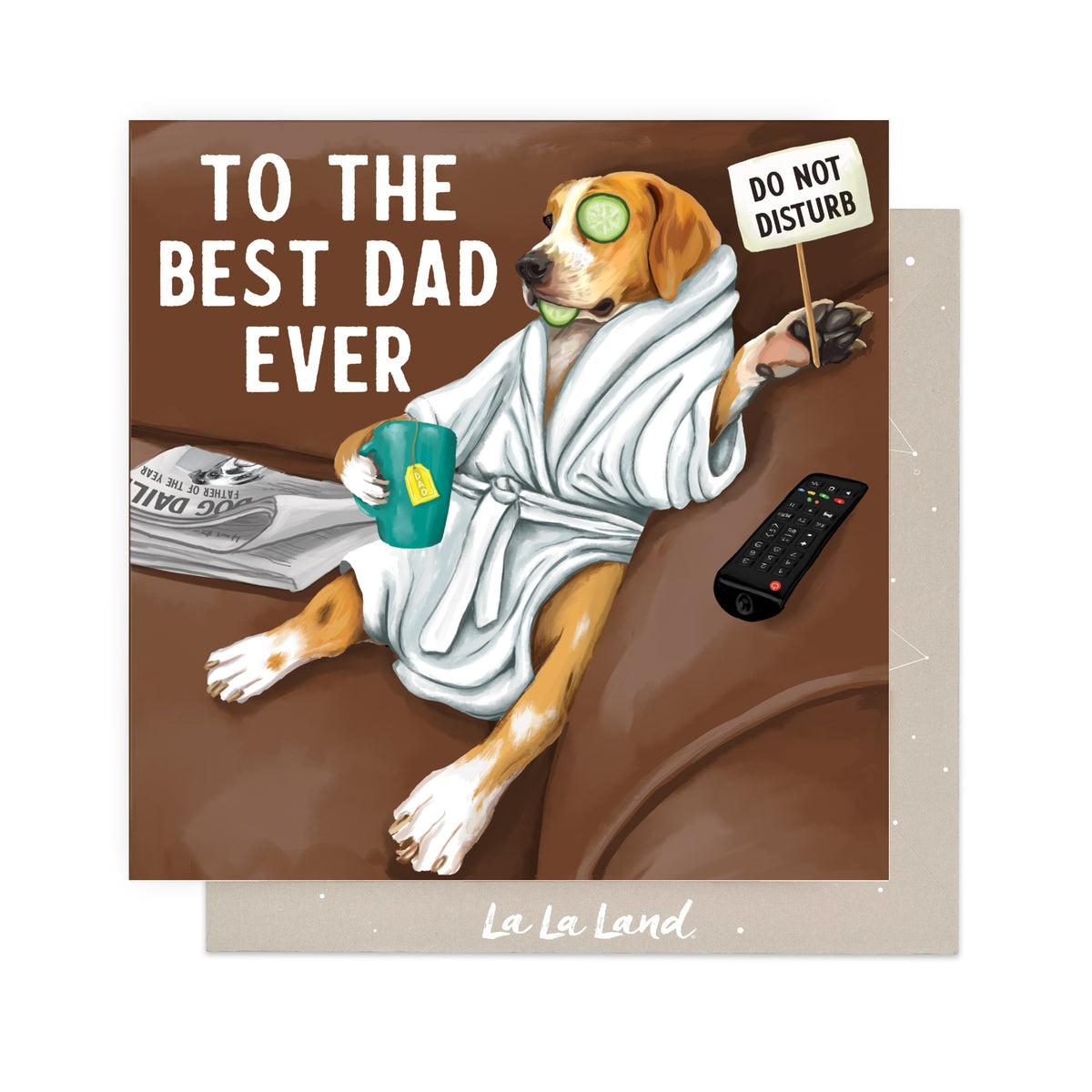 Greeting Card Do Not Disturb Dad