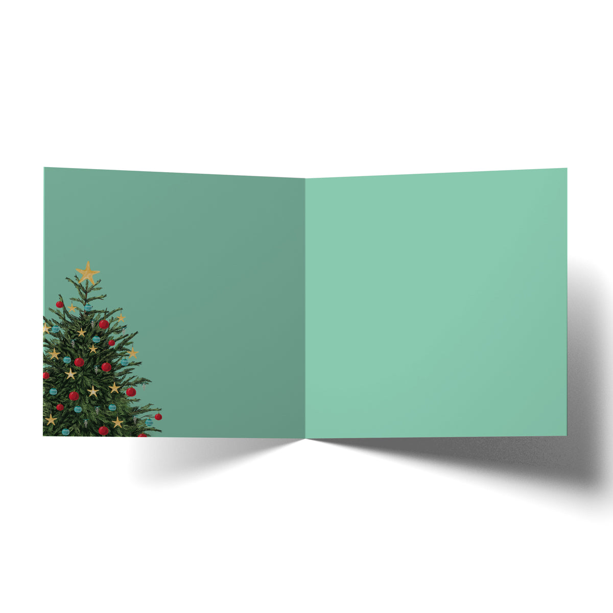 Greeting Card Naked Christmas
