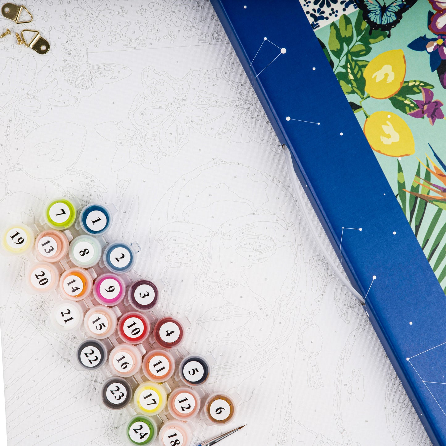 Paint By Number Tribute Artists