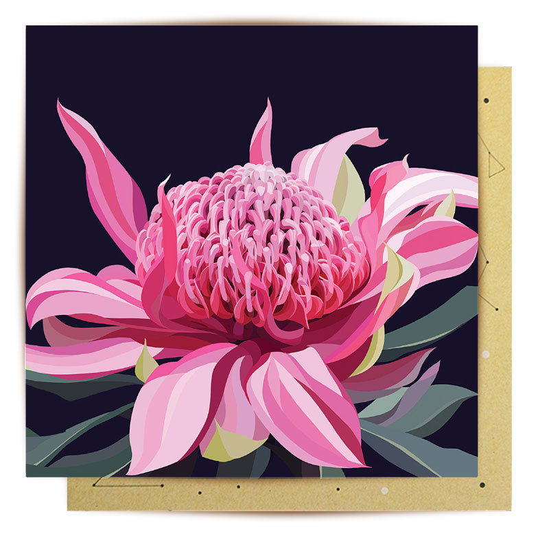 Greeting Card Blooming waratah