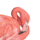 Mini Card Flamingo