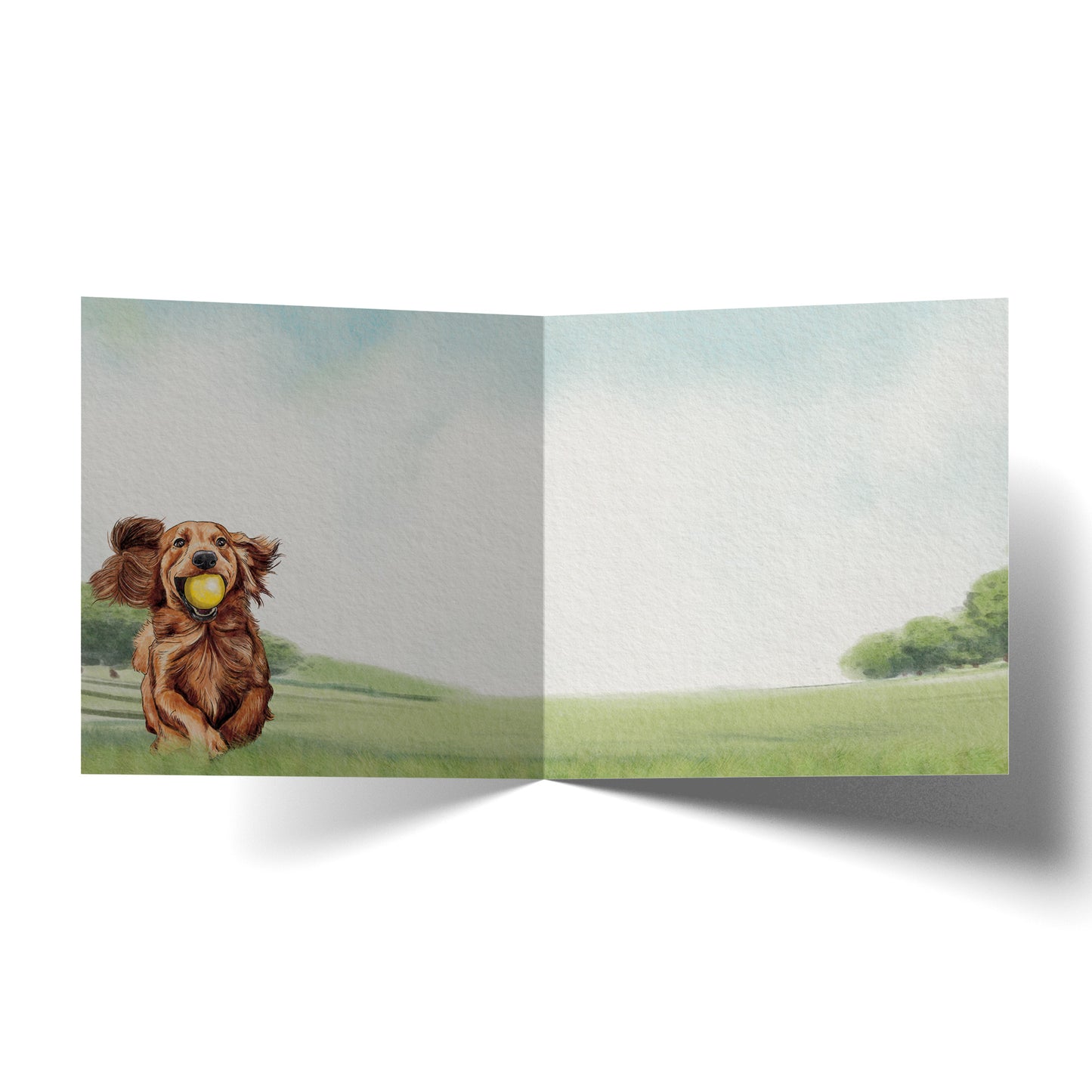 Greeting Card A Dog With A Ball