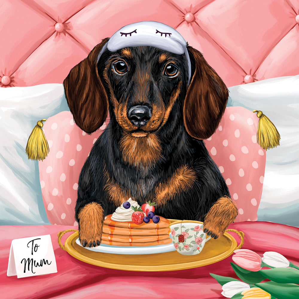 
                      
                        Greeting Card Dachshund Mum In Bed
                      
                    