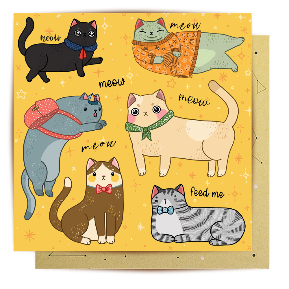 
                      
                        Greeting Card Cat Nonsense
                      
                    