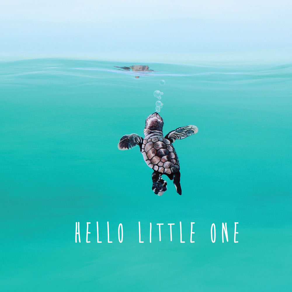 
                      
                        Greeting Card Baby Turtle
                      
                    