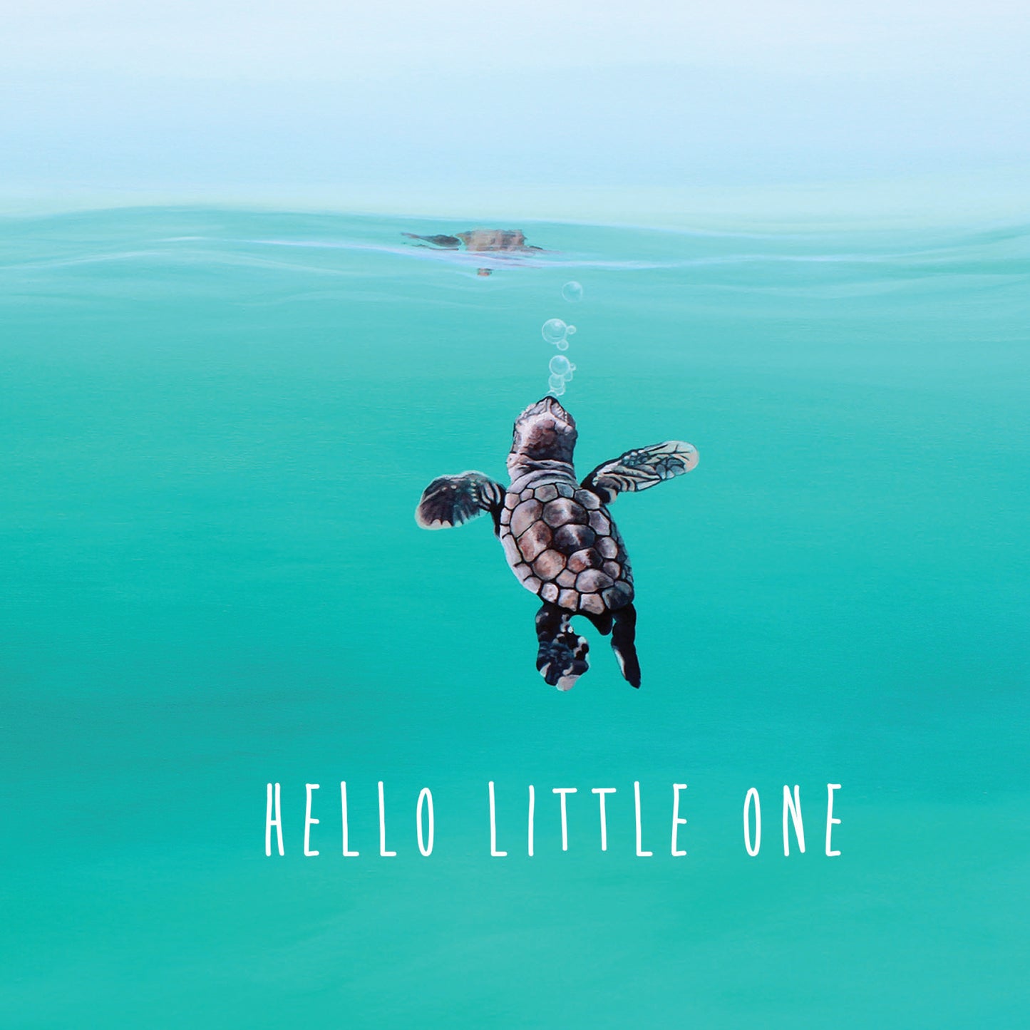 Greeting Card Baby Turtle