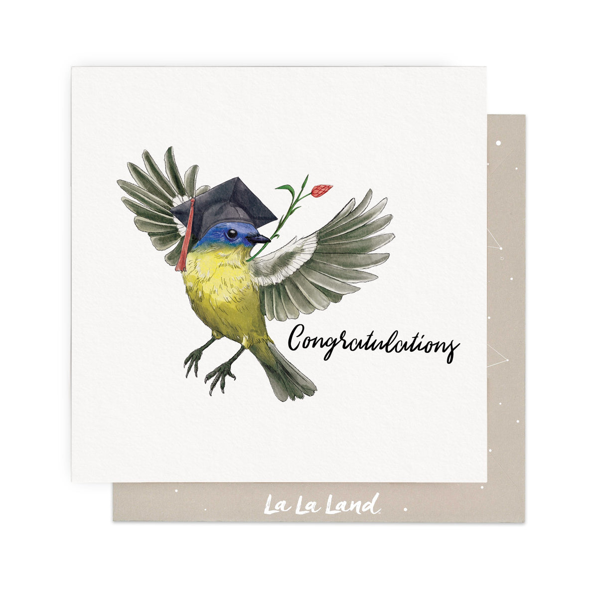 Greeting Card Graduation Bird