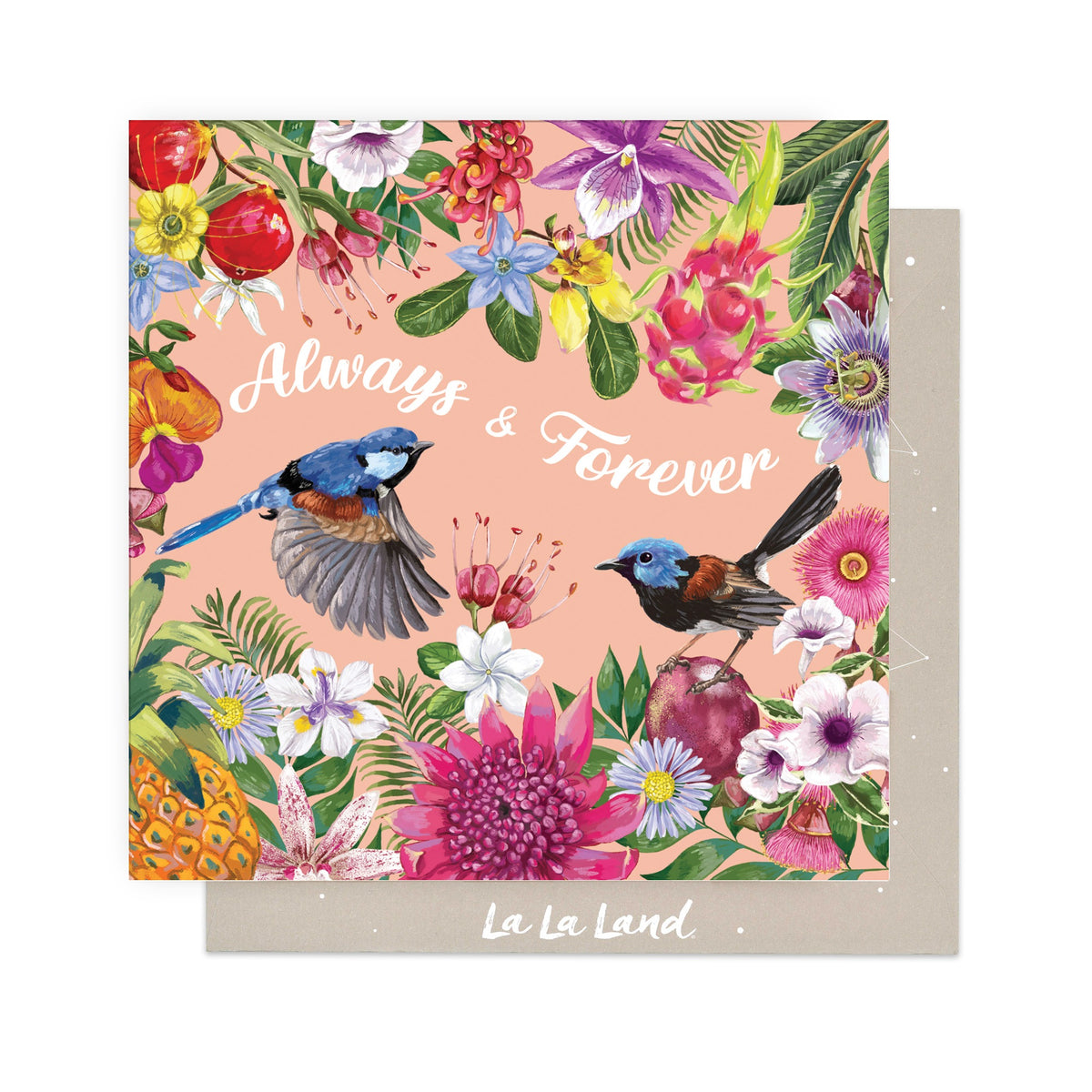Greeting Card Fairy Wrens Love