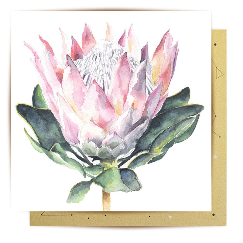 
                      
                        Greeting Card Protea
                      
                    