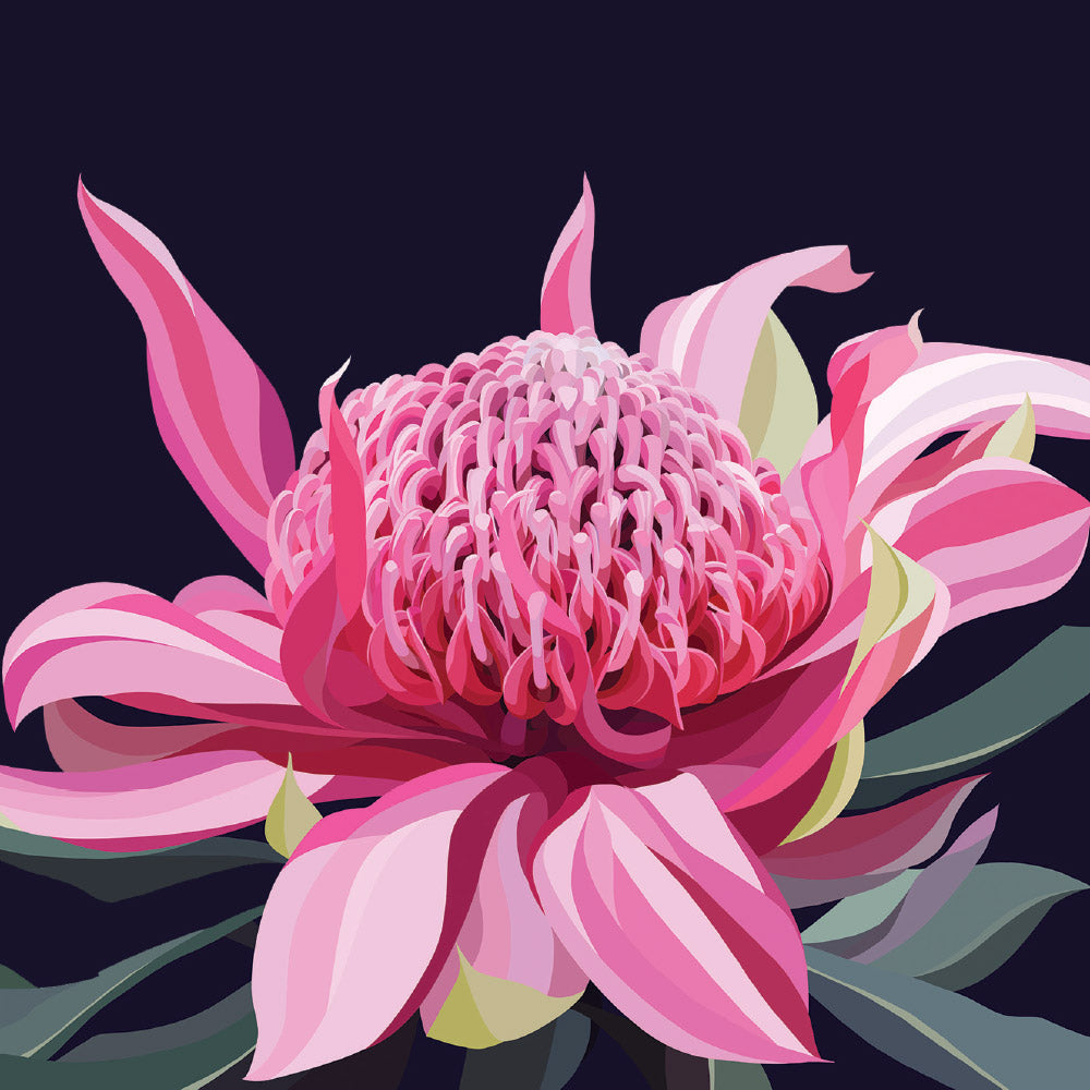 Greeting Card Blooming waratah