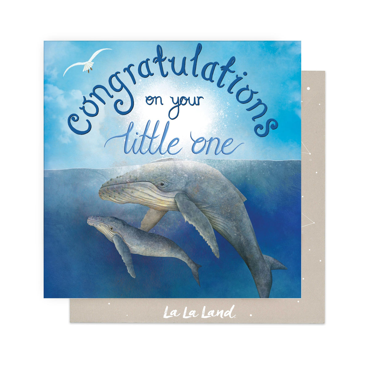 Greeting Card Congratulations Whales