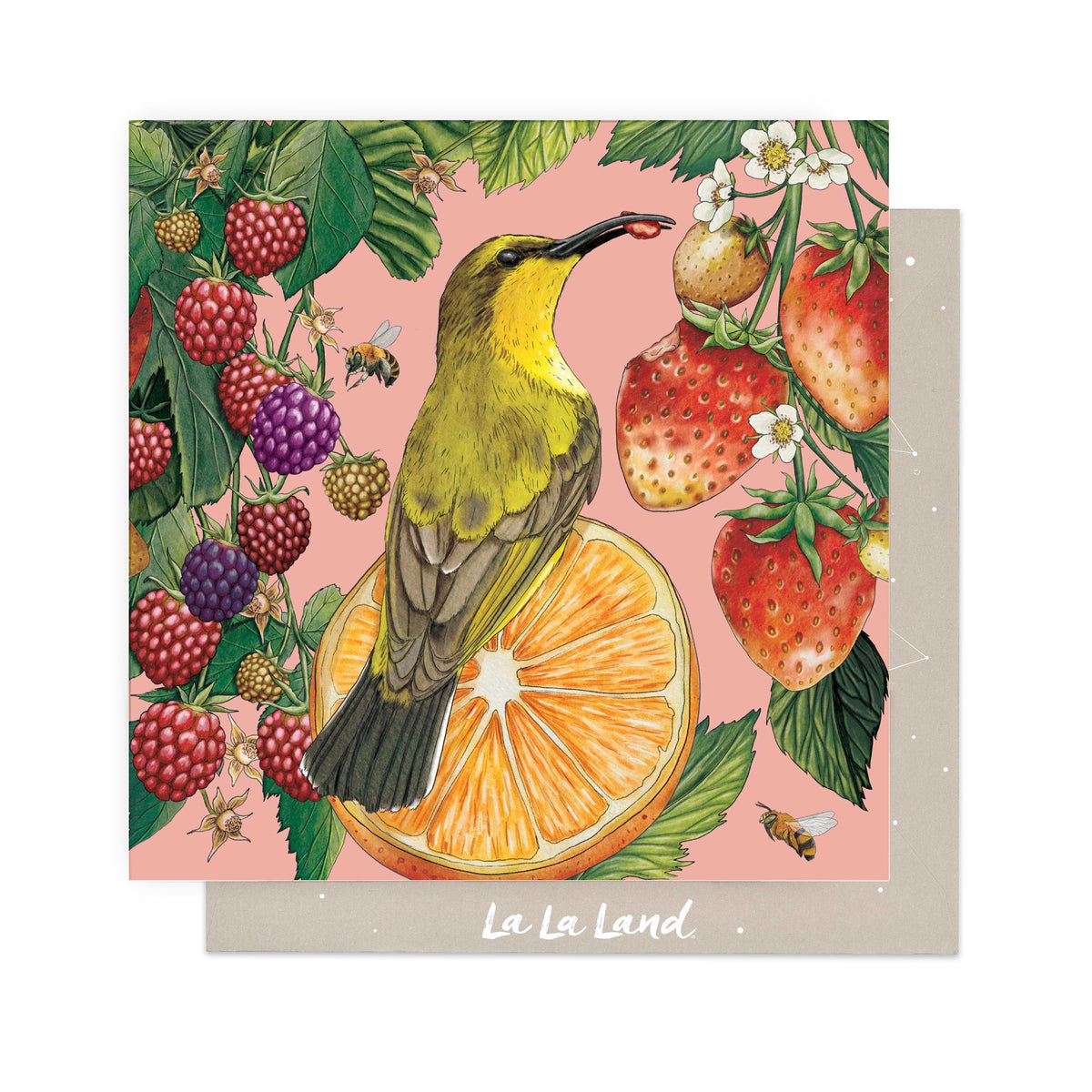 Greeting Card Yellow Breasted Sunbird