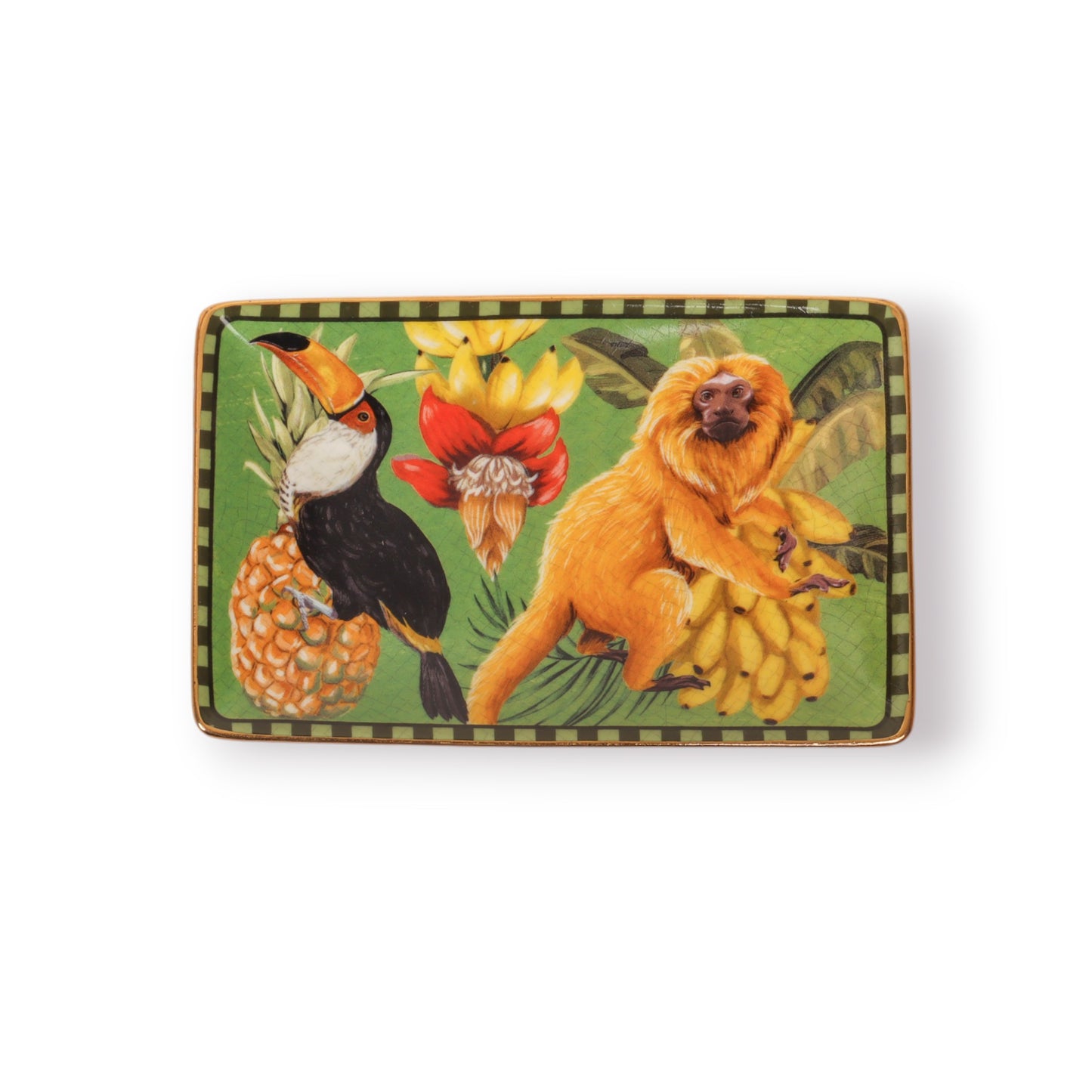 Rectangle Trinket Tray Brazilian Summer Monkey
