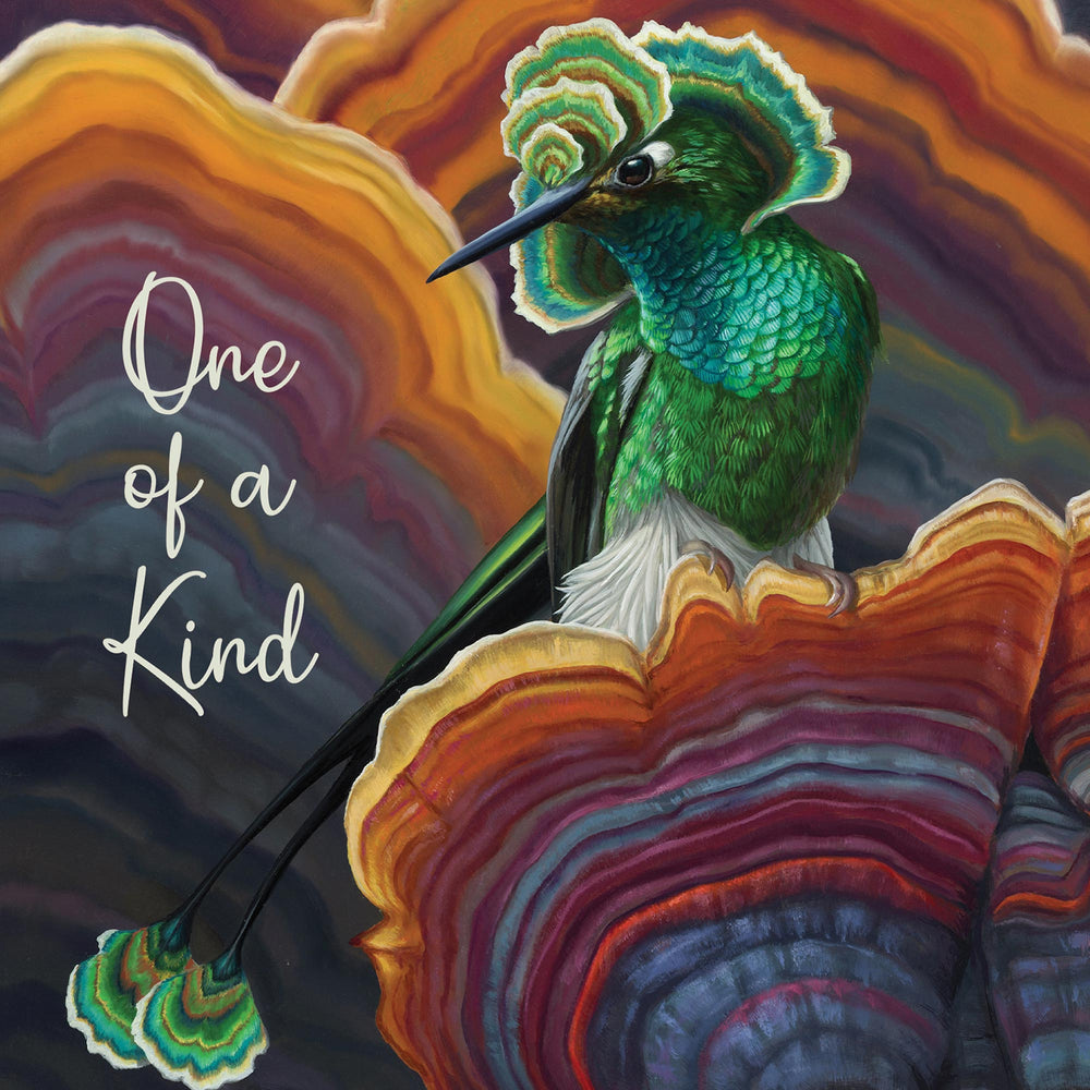 
                      
                        Greeting Card Starburst
                      
                    