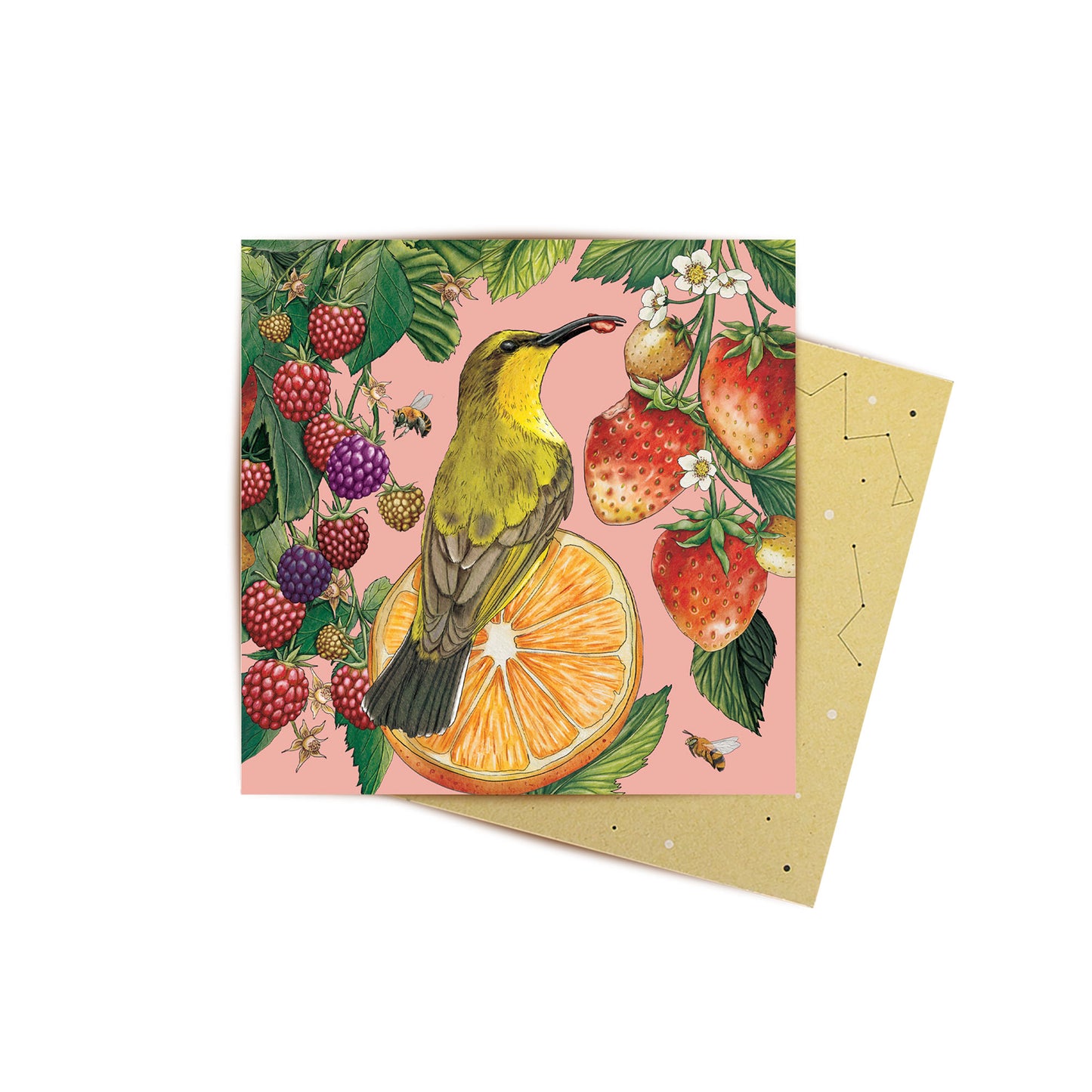 Mini Card Yellow Breasted Sunbird