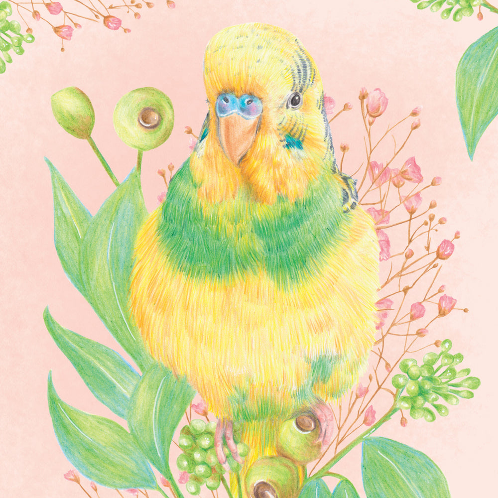 Greeting Card Buckwheat the Budgerigar