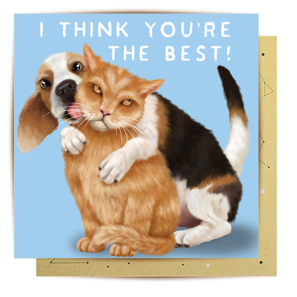 
                      
                        Greeting Card Cat Dog
                      
                    