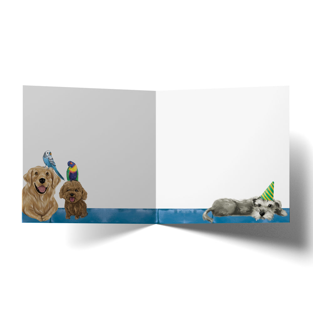 
                      
                        Greeting Card Sofa Friends
                      
                    