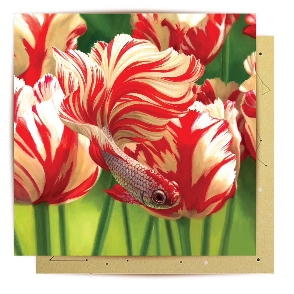 Greeting Card Razzle Dazzle