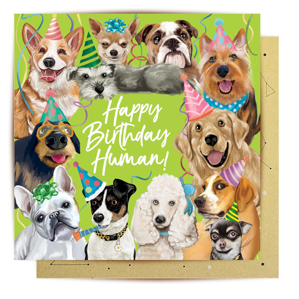 Greeting Card Happy Birthday Human