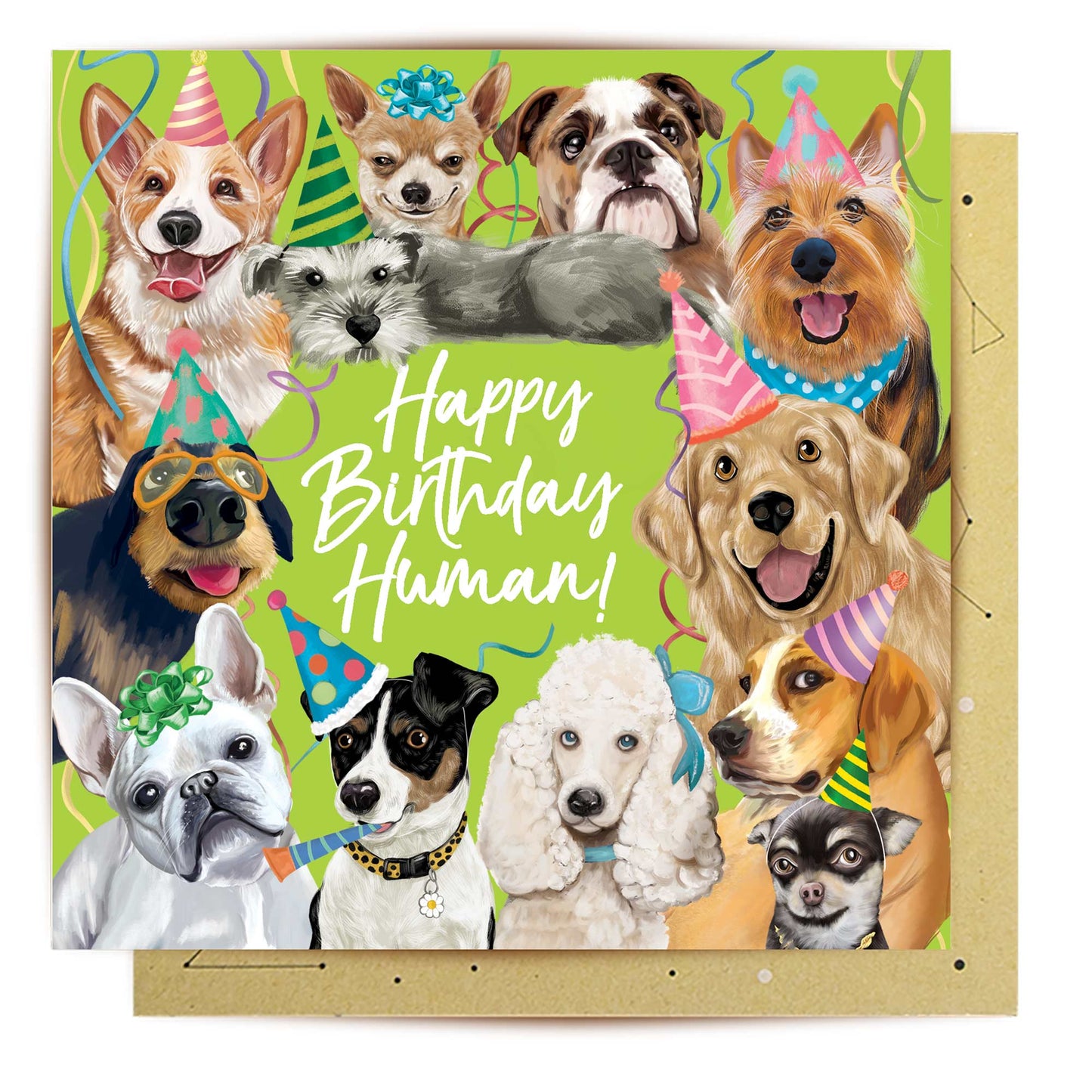 Greeting Card Happy Birthday Human