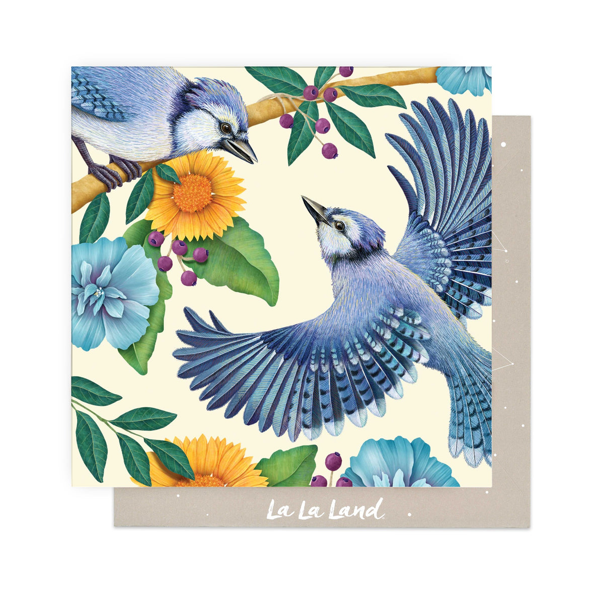 Greeting Card Blue Jay Birthday