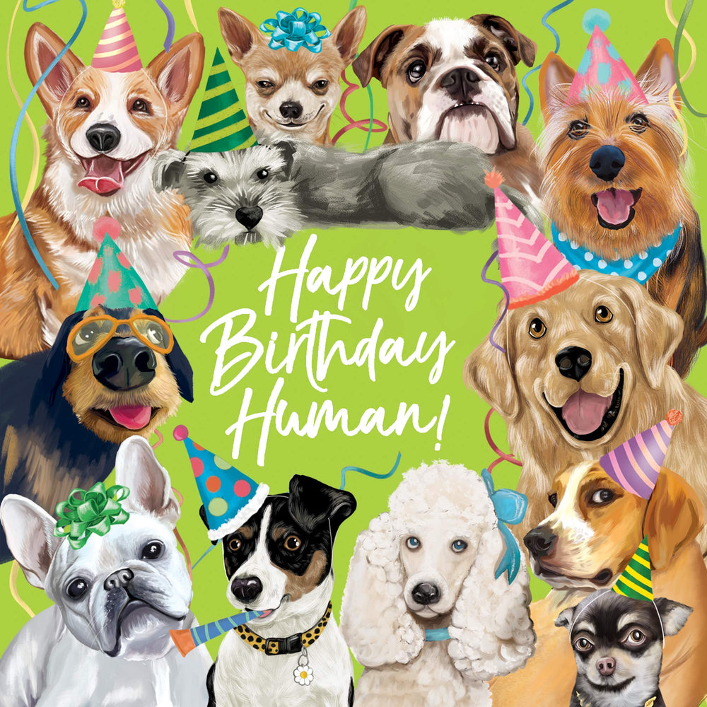 
                      
                        Greeting Card Happy Birthday Human
                      
                    