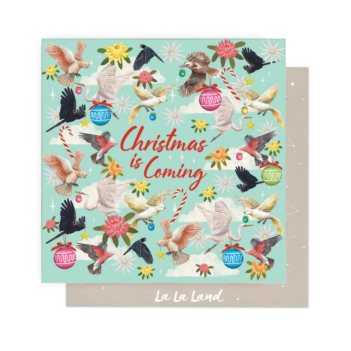 Greeting Card Christmas Is Coming Birds