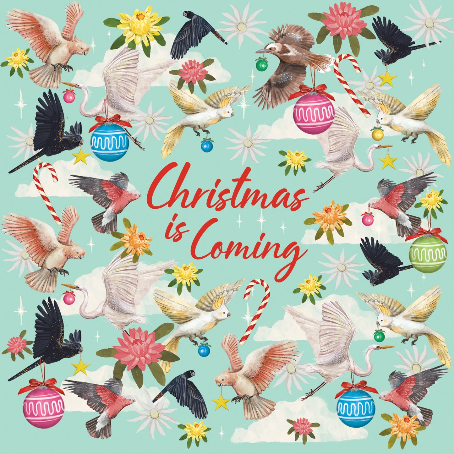 Greeting Card Christmas Is Coming Birds