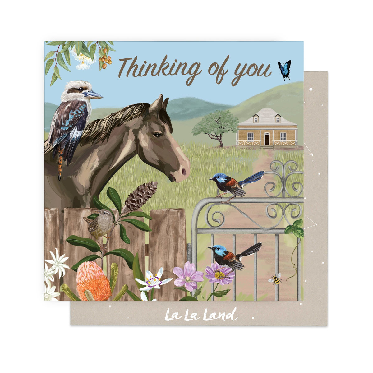 Greeting Card Backcountry Landscape