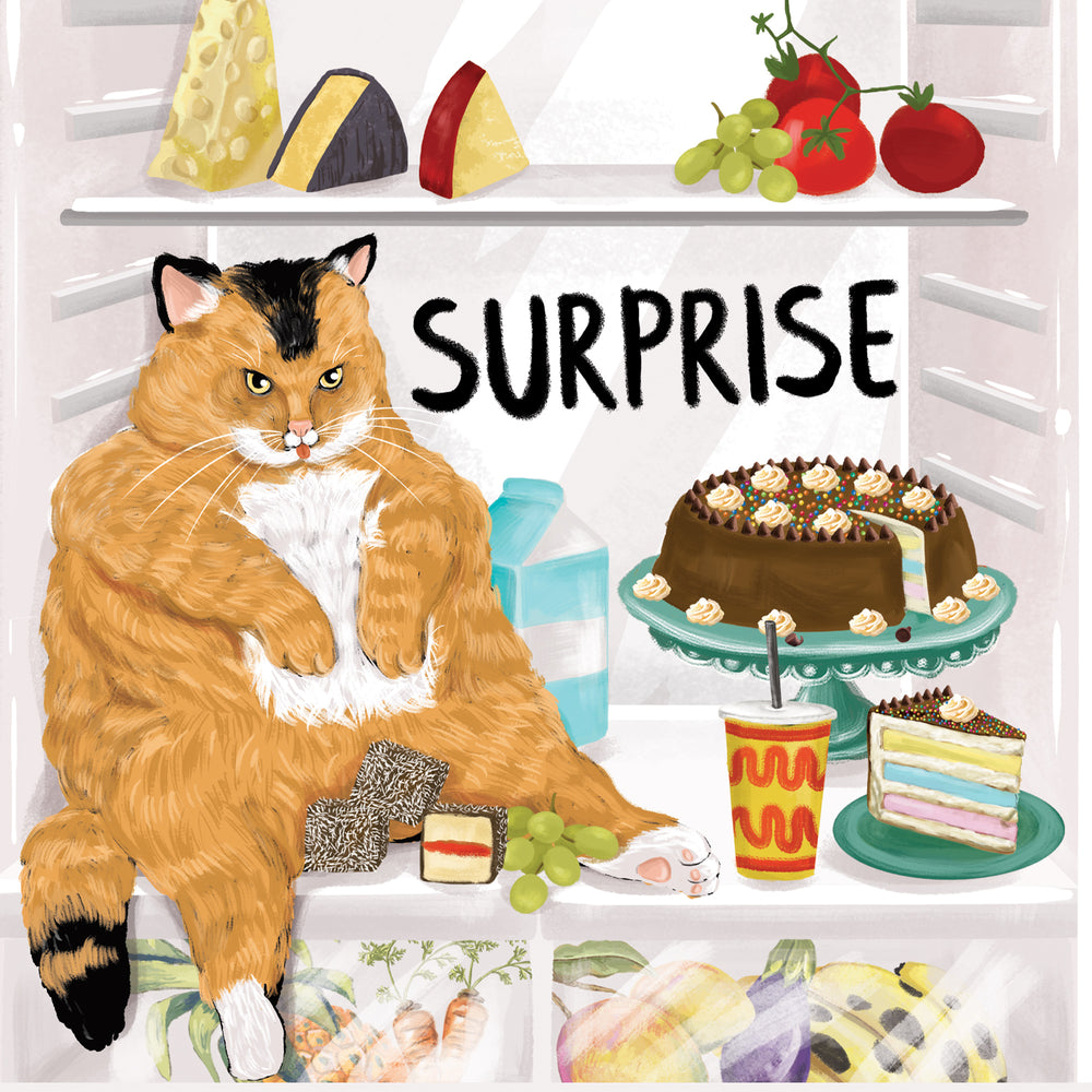 
                      
                        Greeting Card Fridge Surprise
                      
                    