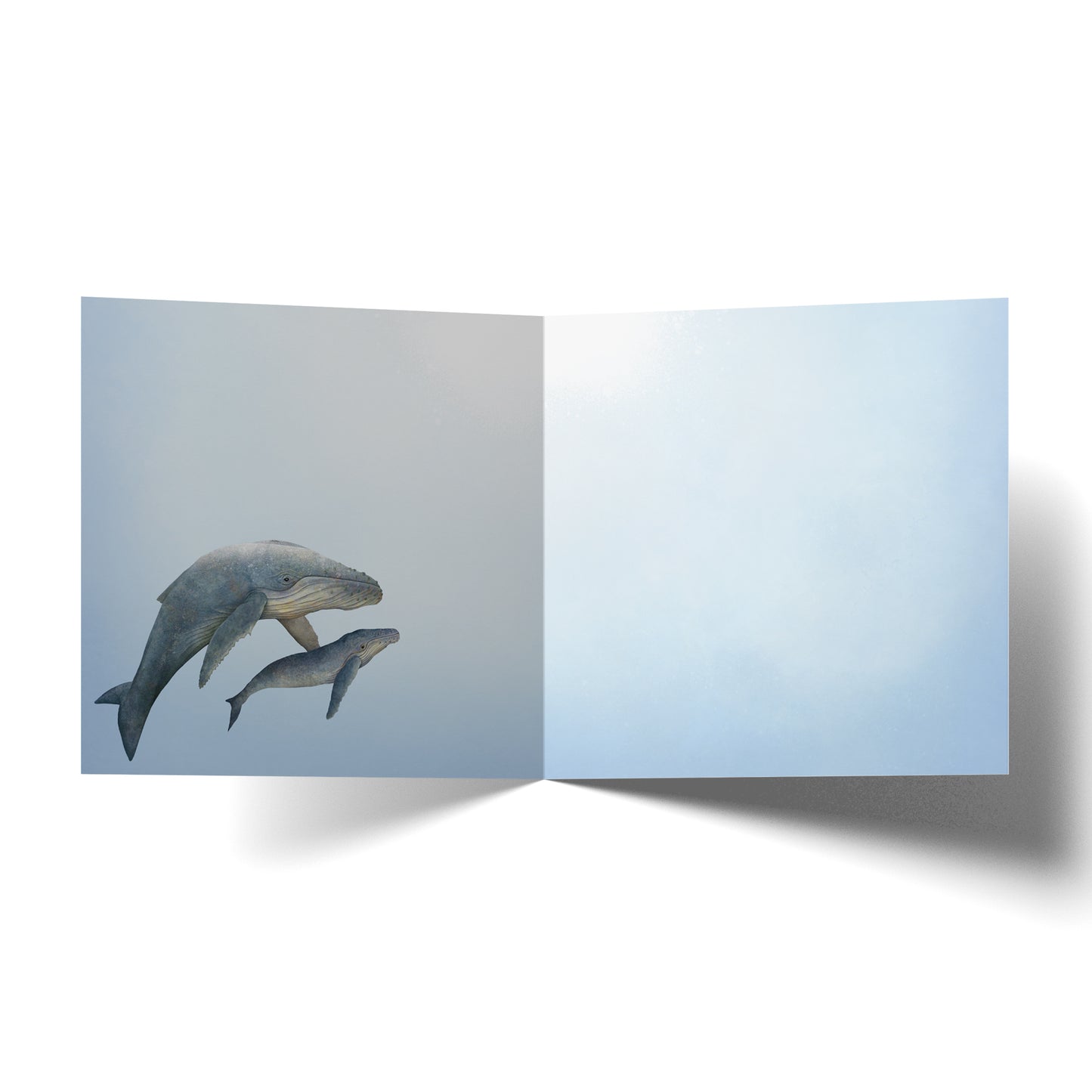 Greeting Card Congratulations Whales
