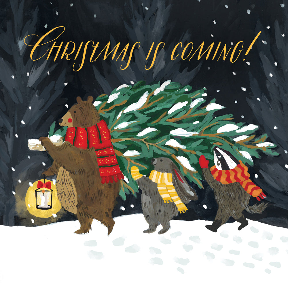 
                      
                        Greeting Card Christmas Is Coming
                      
                    