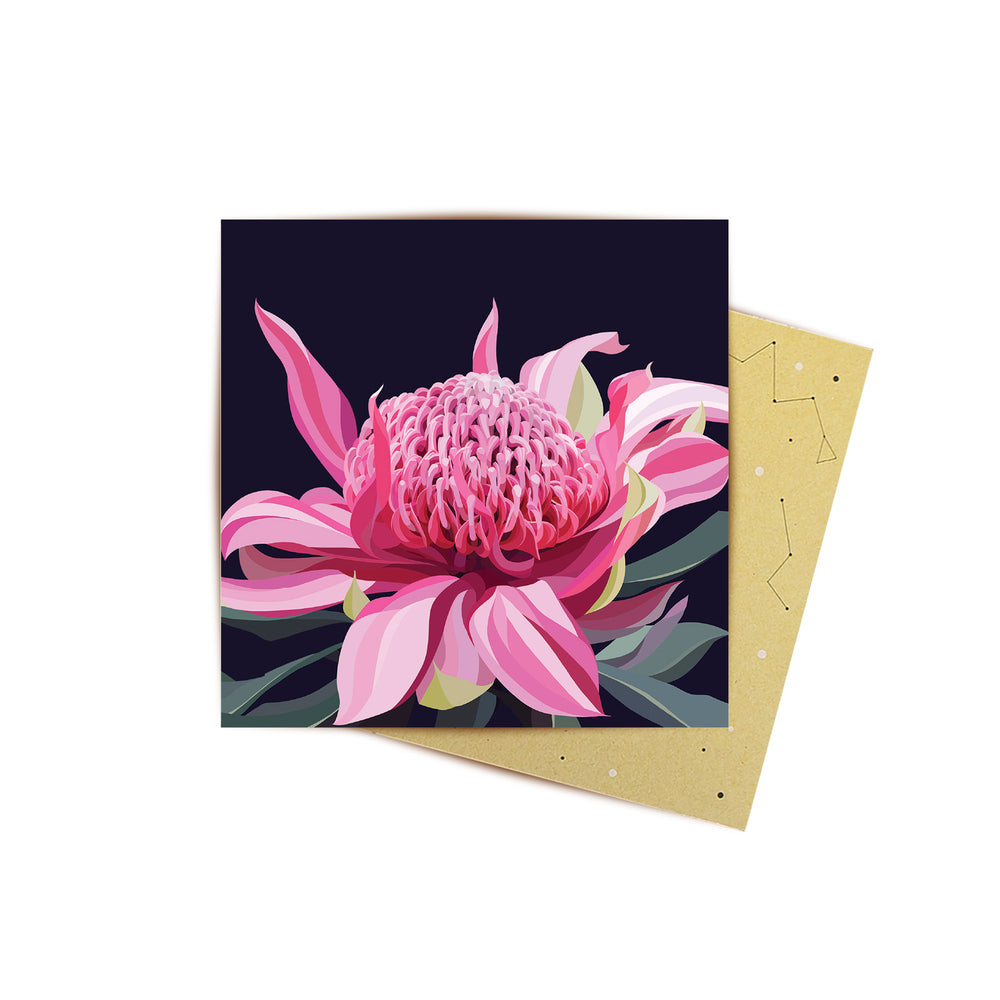 Mini Card Waratah Bloom