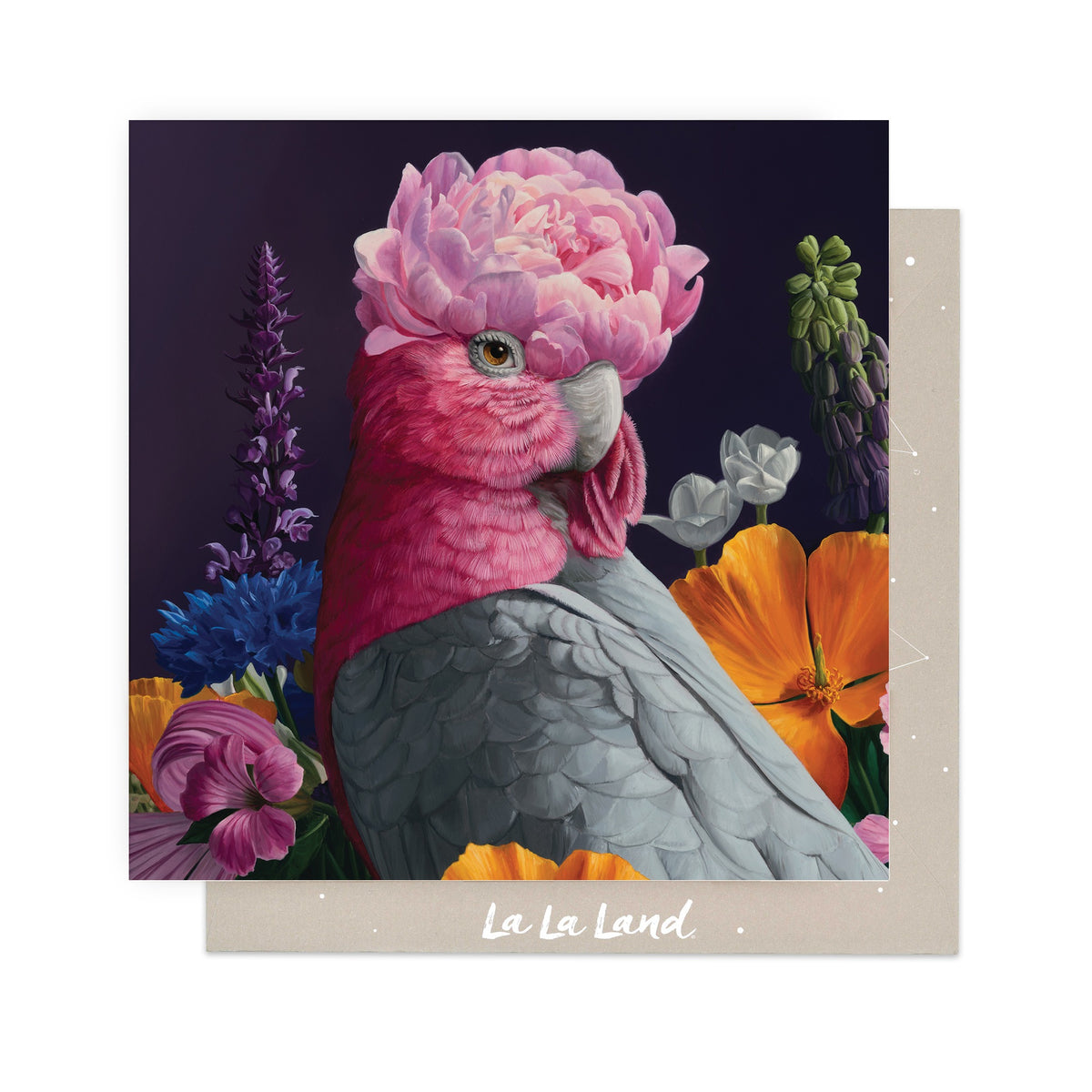 Greeting Card Wonderland