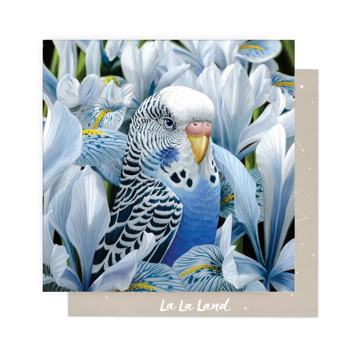 Greeting Card Sheila Ann