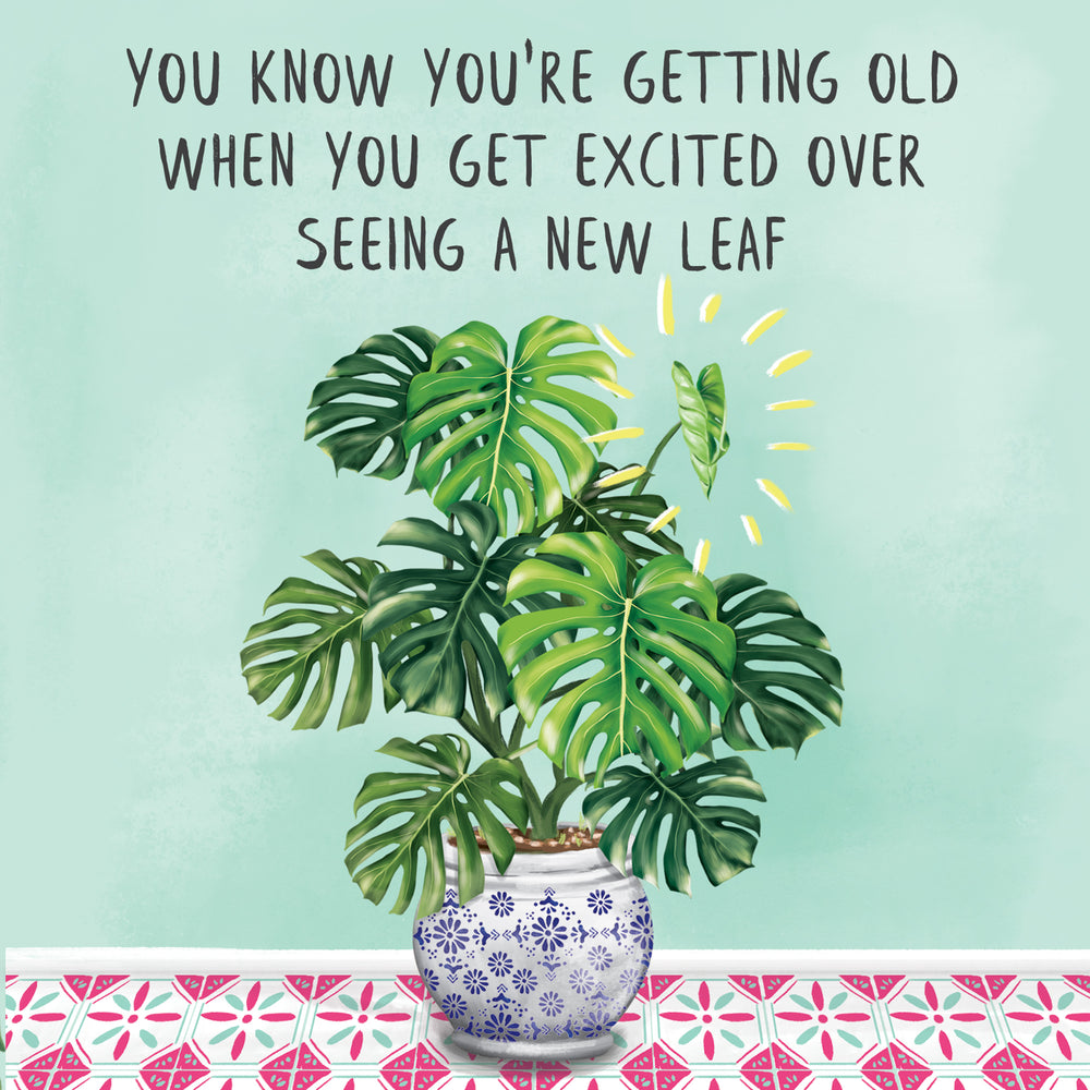 
                      
                        Greeting Card New Leaf
                      
                    