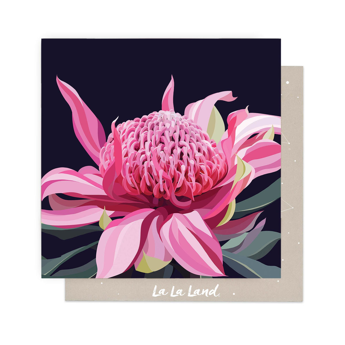 Greeting Card Blooming waratah