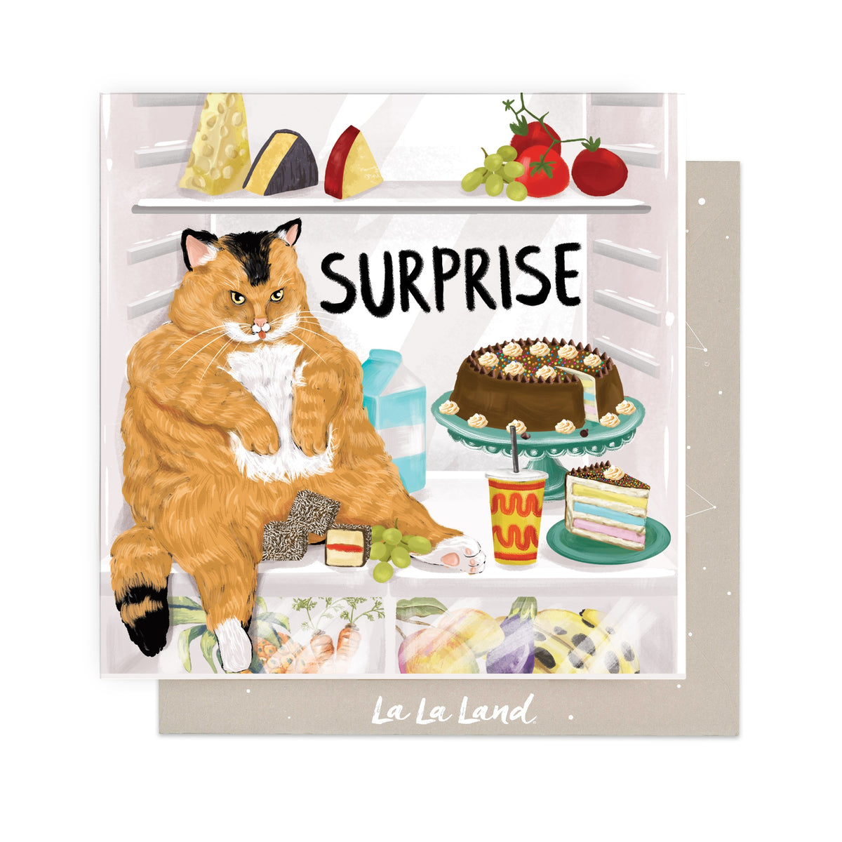 Greeting Card Fridge Surprise