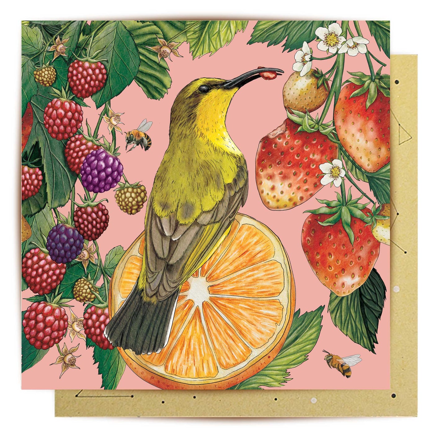 Greeting Card Yellow Breasted Sunbird