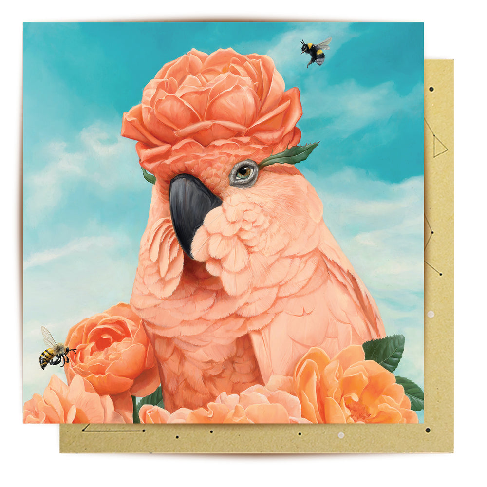 Greeting Card Sanguineness