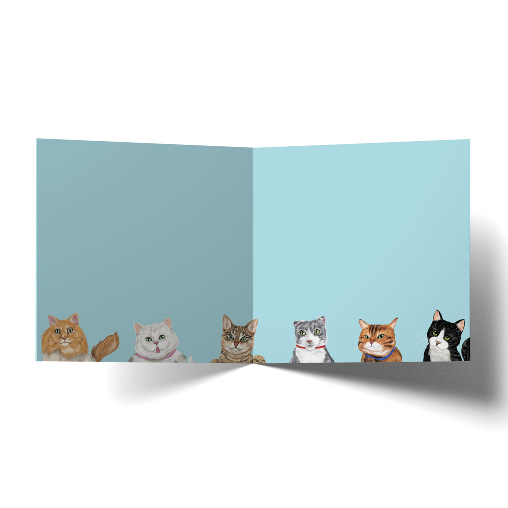 
                      
                        Greeting Card Antidepressant Cats
                      
                    